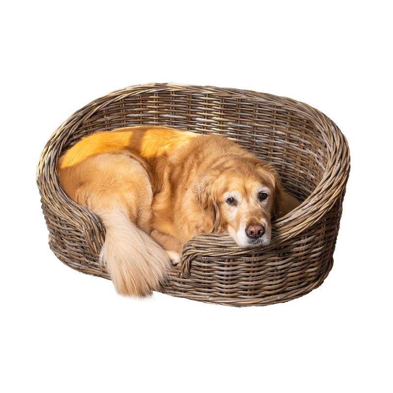 Curvy Rattan Pet Bed with Machine-Washable Cushion